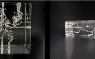 Modelos vasculares de silicona: una alternativa ética y científicamente superior a los modelos animales
