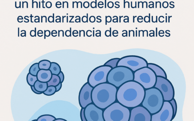 NIH lanza el Standardized Organoid Modeling (SOM) Center: un hito en modelos humanos estandarizados para reducir la dependencia de animales
