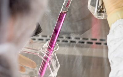 FIN del Test del pirógeno en conejos