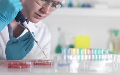 Métodos ya validados para sustituir la experimentación animal en detergentes