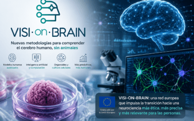 Del modelo animal a los modelos humanos: VISI-ON-BRAIN y la transformación silenciosa de la neurociencia europea